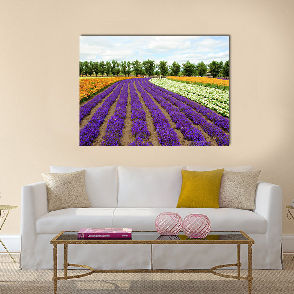 Beautiful flower field in Hokkaido in Japan Canvas Wall Art