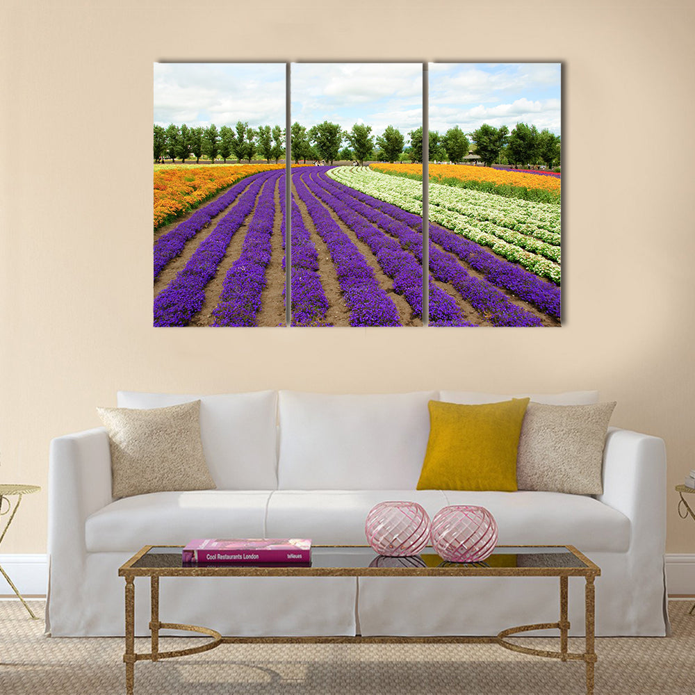 Beautiful flower field in Hokkaido in Japan Canvas Wall Art