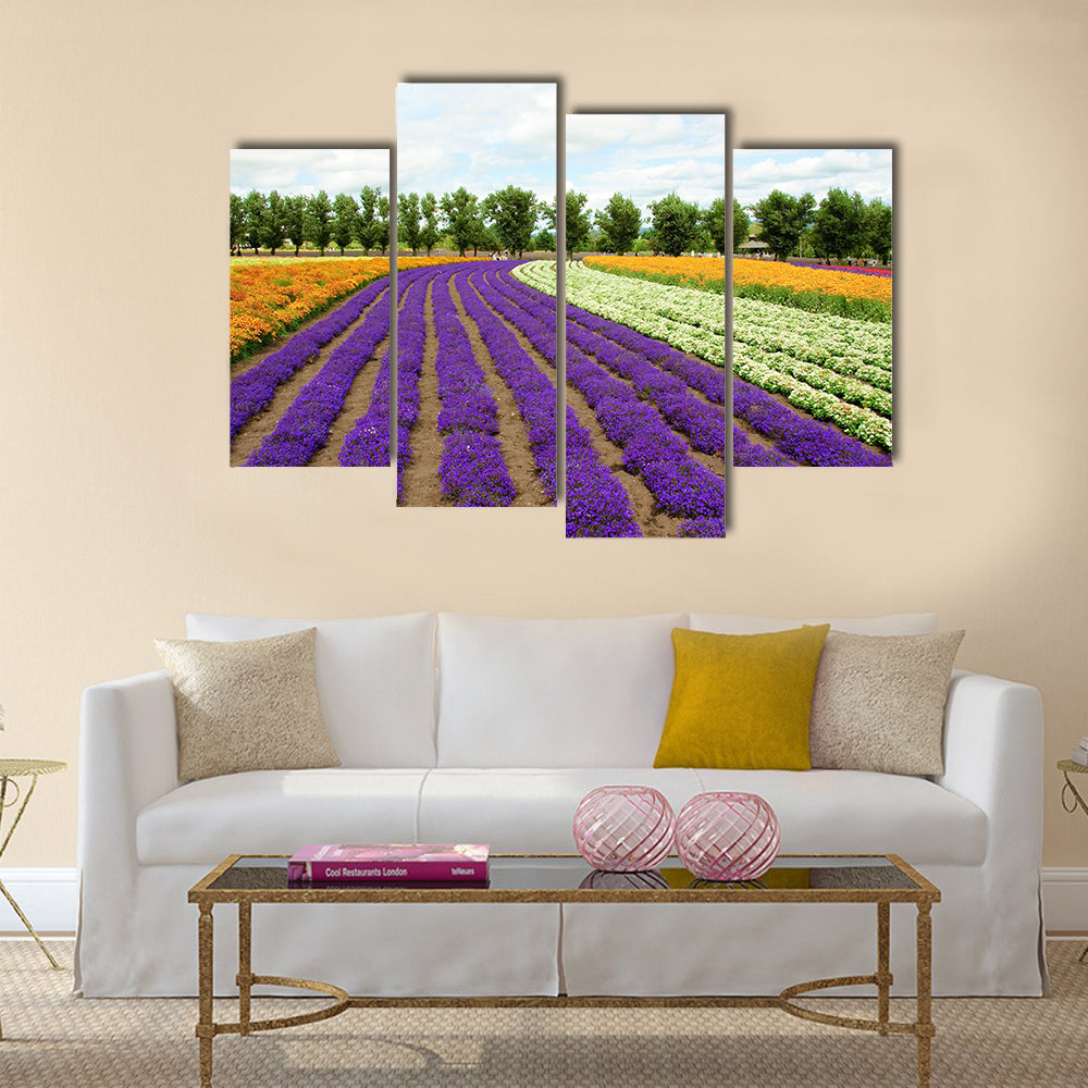 Beautiful flower field in Hokkaido in Japan Canvas Wall Art
