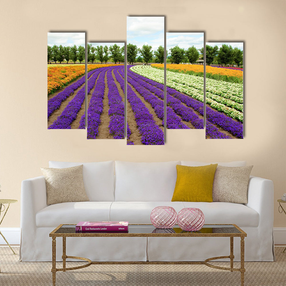 Beautiful flower field in Hokkaido in Japan Multi Panel Canvas Wall Art