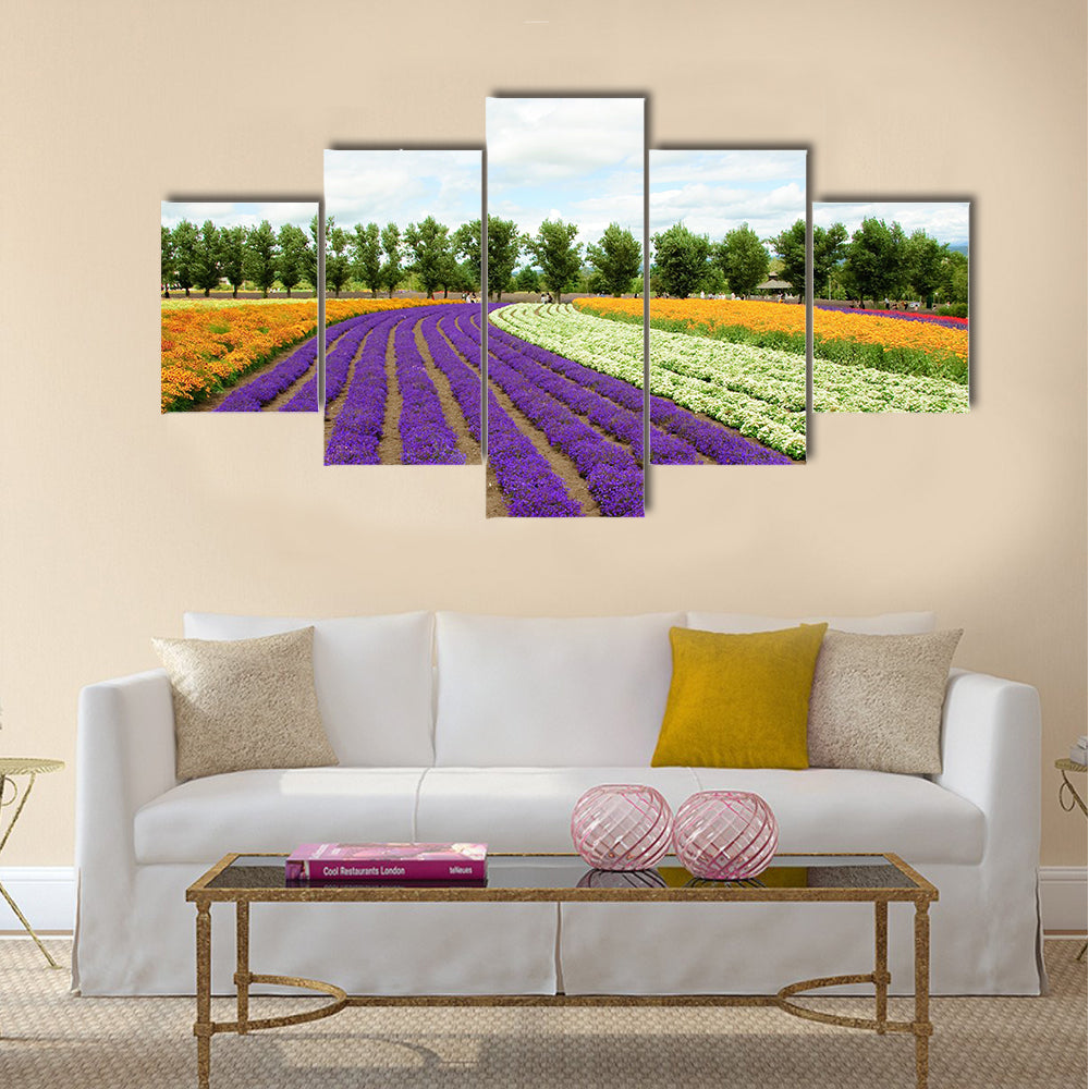 Beautiful flower field in Hokkaido in Japan Canvas Wall Art