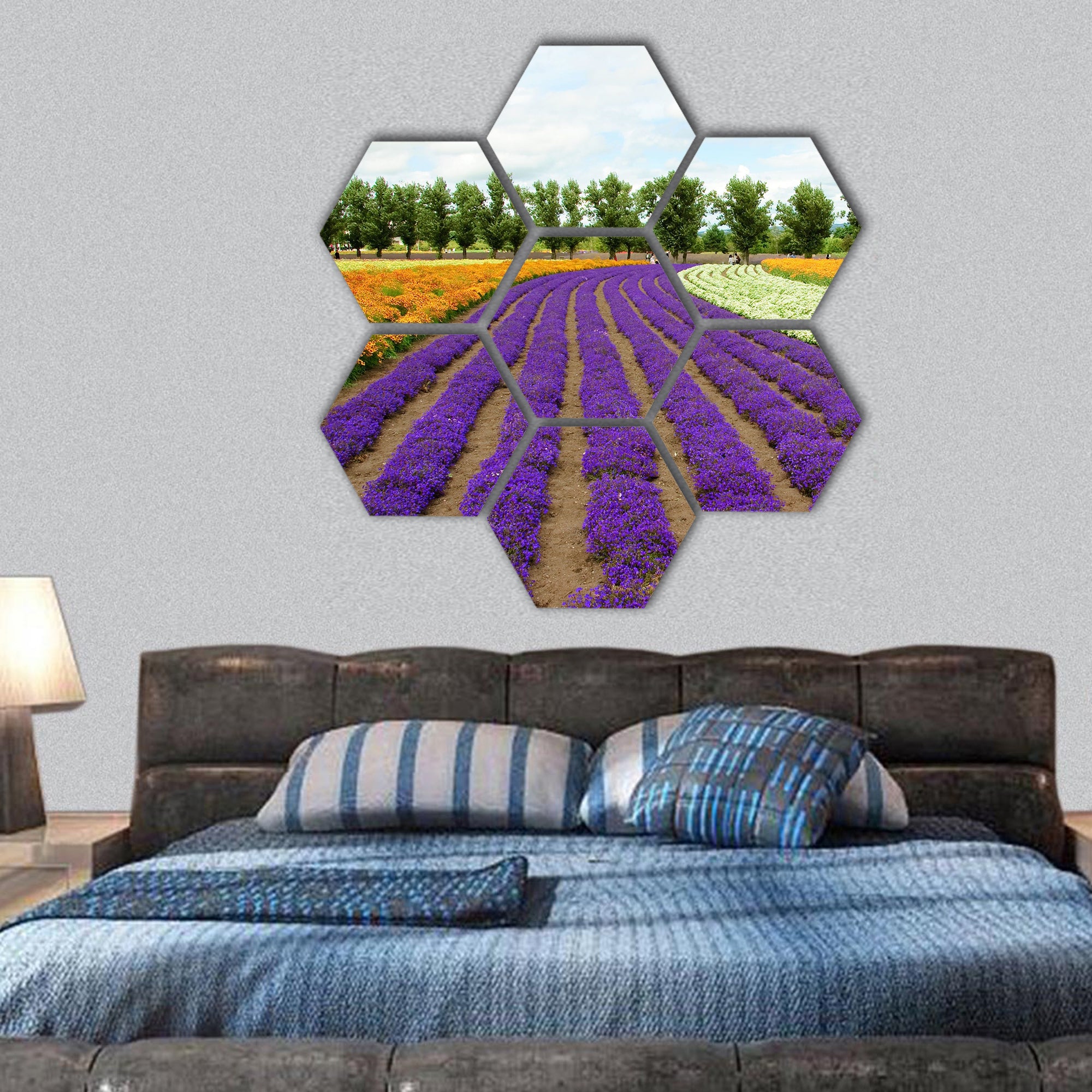flower field in Hokkaido in Japan hexagonal canvas wall art