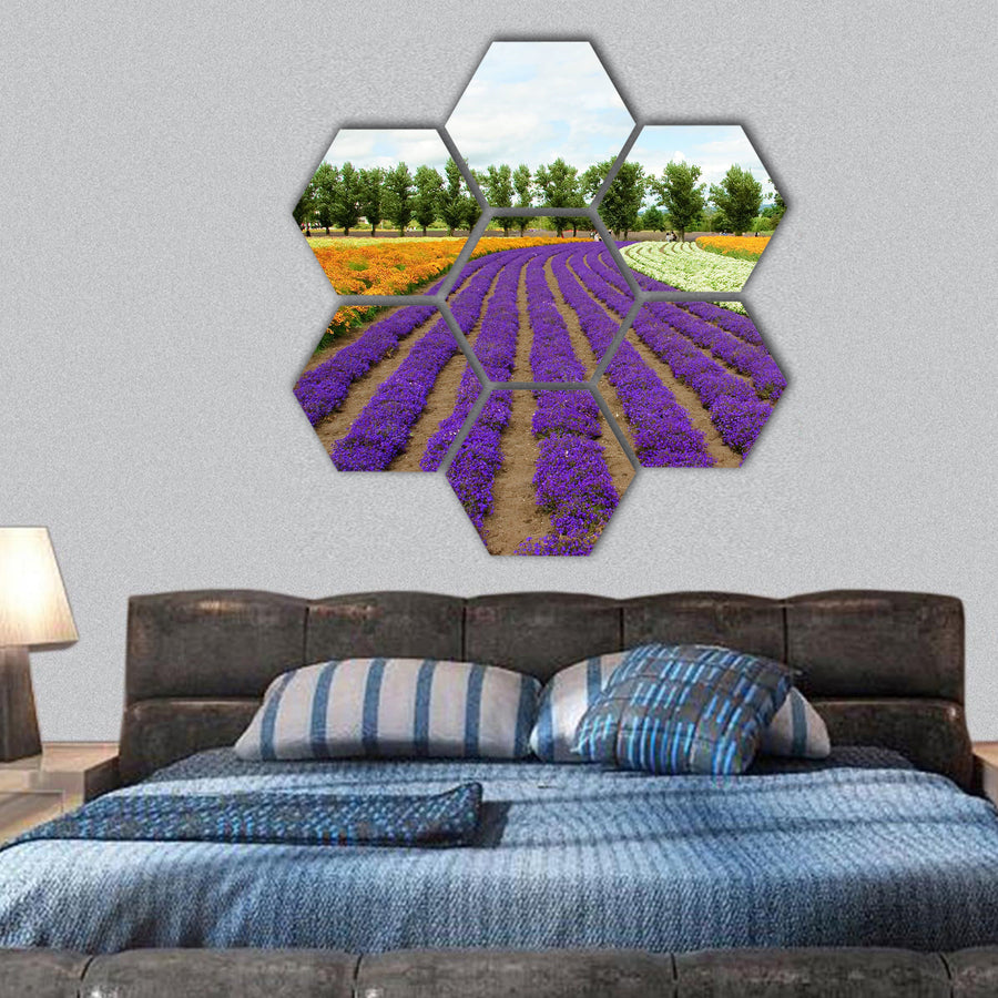 flower field in Hokkaido in Japan hexagonal canvas wall art