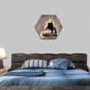 Bronze Horseman  hexagonal canvas wall art