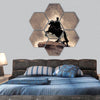 Bronze Horseman  hexagonal canvas wall art