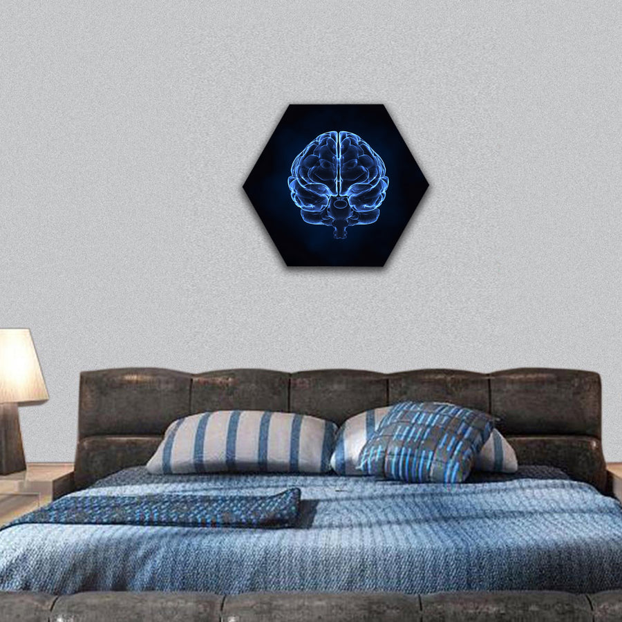 X- ray human brain hexagonal canvas wall art