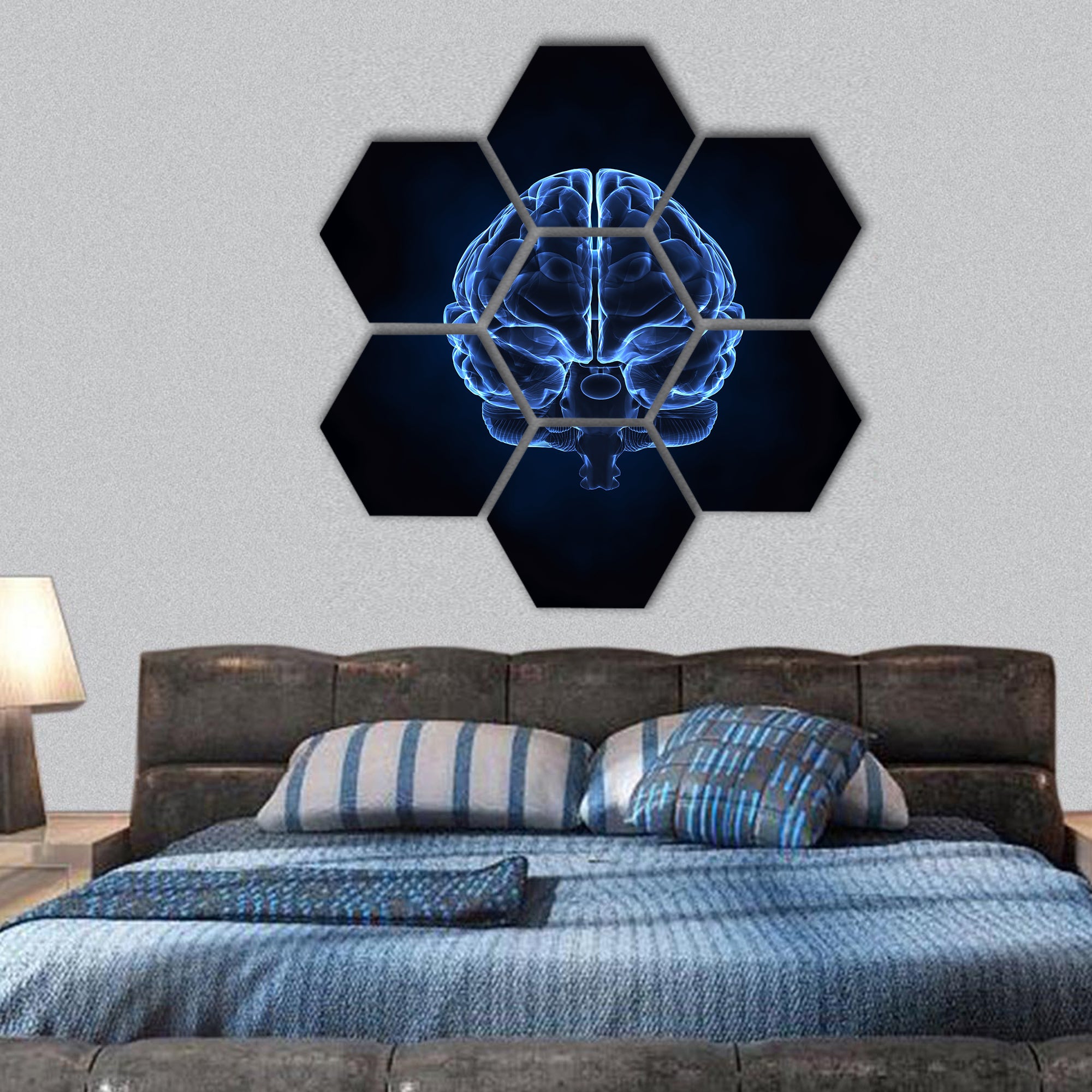 X- ray human brain hexagonal canvas wall art