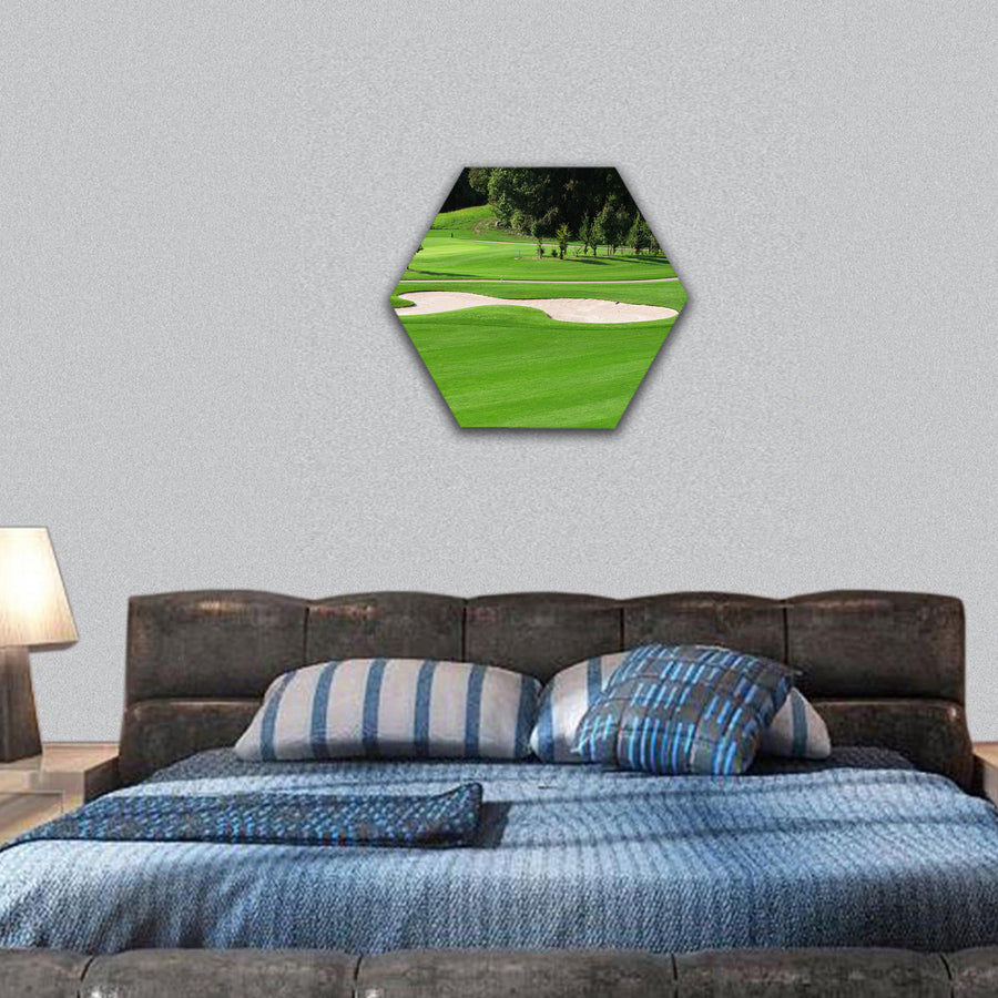 Golf course hexagonal canvas wall art