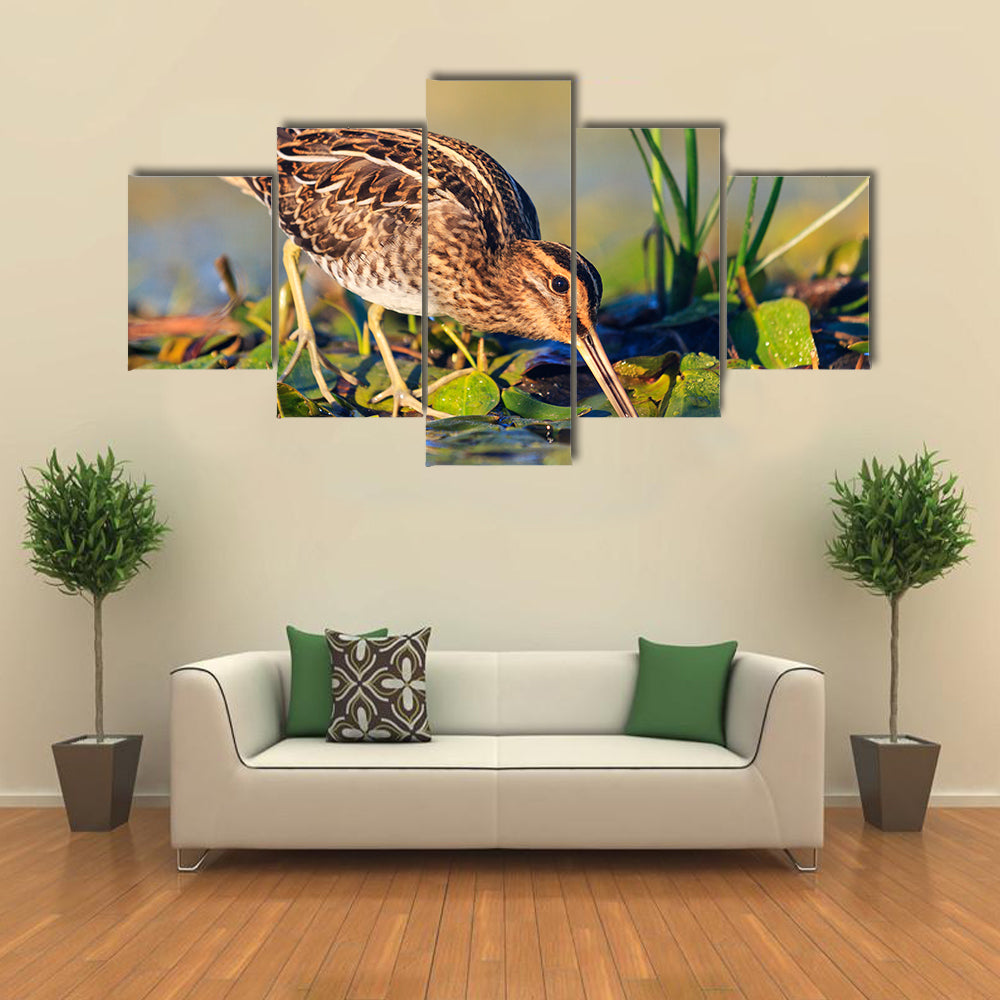 Snipe gets Food from Under the Mud, Snipe, Sandpipers, Bird hunting, Bird hunt is on, Water birds, long beak Multi Panel Canvas Wall Art