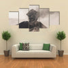 Tungurahua Volcano, Intense Strombolian Activity, Ecuador multi panel canvas wall art