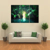 The Mangrove Rain Forest In Sri Lanka With Tunnel And Pathway In The Lush, Multi Panel Canvas Wall Art