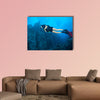 Young woman scuba diver exploring sea bottom. Underwater life with beautiful wall art