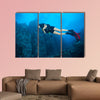 Young woman scuba diver exploring sea bottom. Underwater life with beautiful wall art