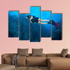 Young woman scuba diver exploring sea bottom. Underwater life with beautiful wall art