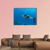 Young woman scuba diver exploring sea bottom. Showing ok sign of  wall art