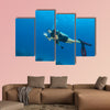 Young woman scuba diver exploring sea bottom. Showing ok sign of  wall art