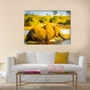 Young Elephant wades through the Chobe River in Botswana, Africa at sunset Multi panel canvas wall art