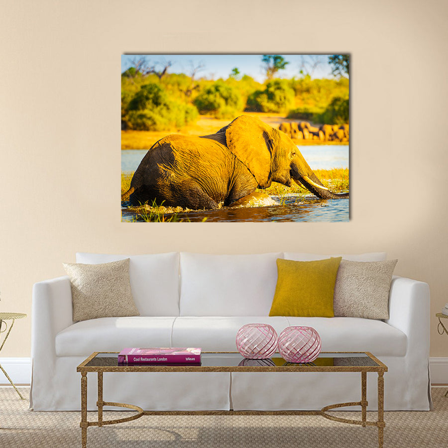 Young Elephant wades through the Chobe River in Botswana, Africa at sunset Multi panel canvas wall art