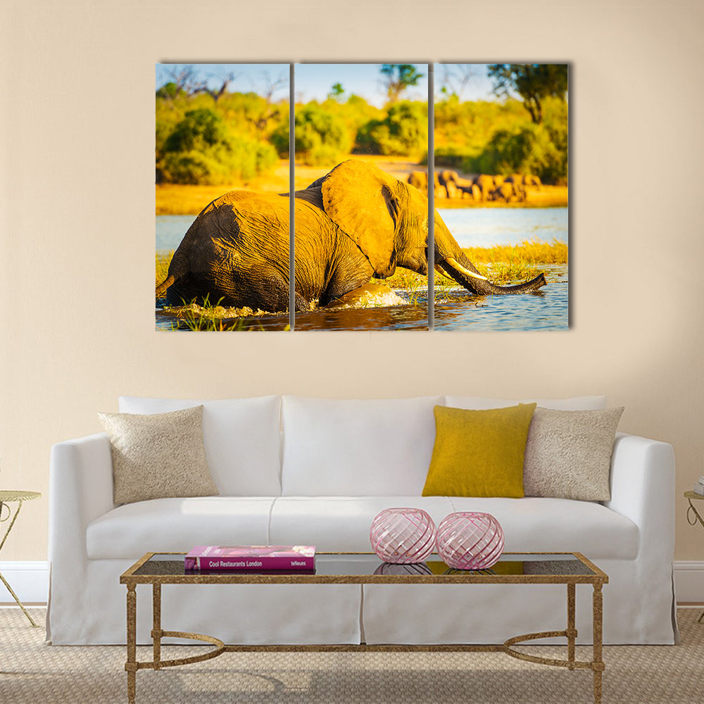 Young Elephant wades through the Chobe River in Botswana, Africa at sunset Multi panel canvas wall art