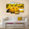 Young Elephant wades through the Chobe River in Botswana, Africa at sunset Multi panel canvas wall art