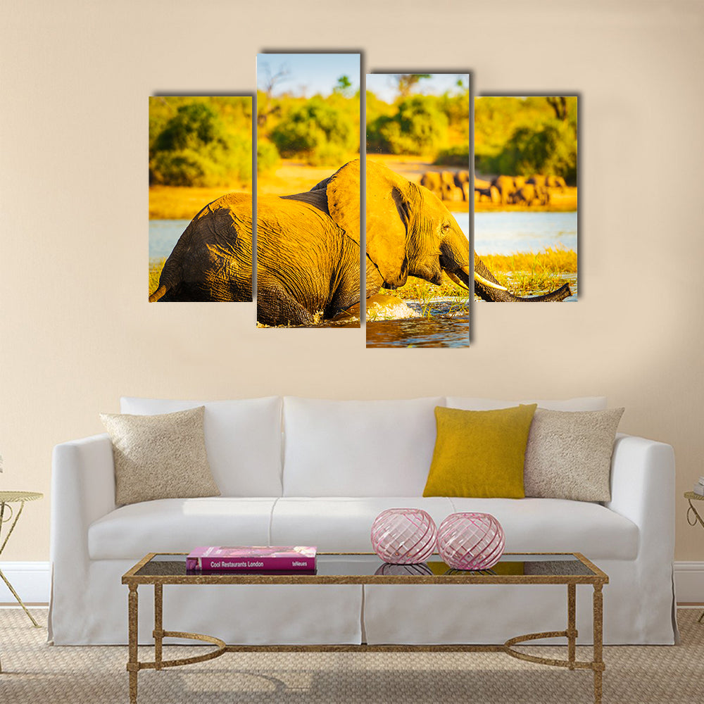 Young Elephant wades through the Chobe River in Botswana, Africa at sunset Multi panel canvas wall art