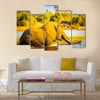 Young Elephant wades through the Chobe River in Botswana, Africa at sunset Multi panel canvas wall art