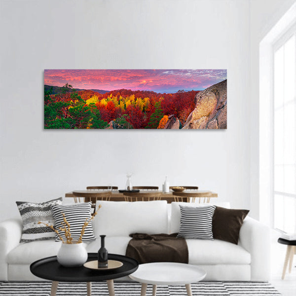 Scenic Forests Panoramic Canvas Wall Art
