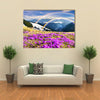 Ukraine wild Montenegrin Mountains on the background of alpine sheep Multi panel canvas wall art