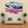 Ukraine wild Montenegrin Mountains on the background of alpine sheep Multi panel canvas wall art