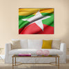 3d rendering of Republic of the Union of Myanmar flag waving Multi panel canvas wall art