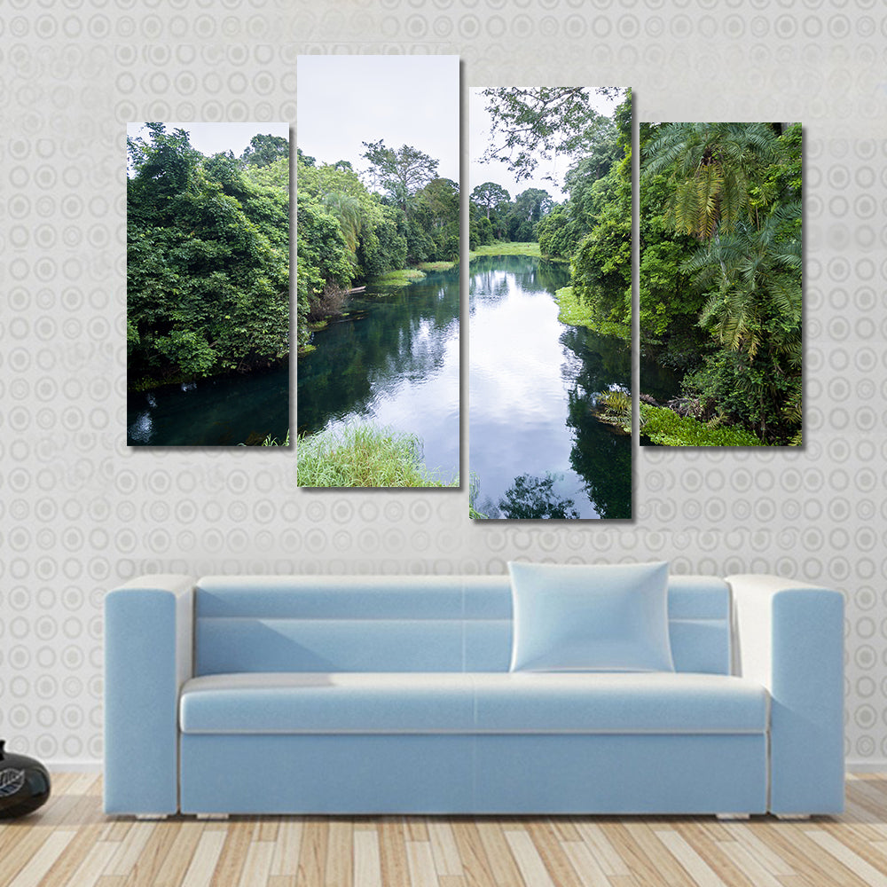Blue River / Tulu river / Niari river Congo Multi panel canvas wall art
