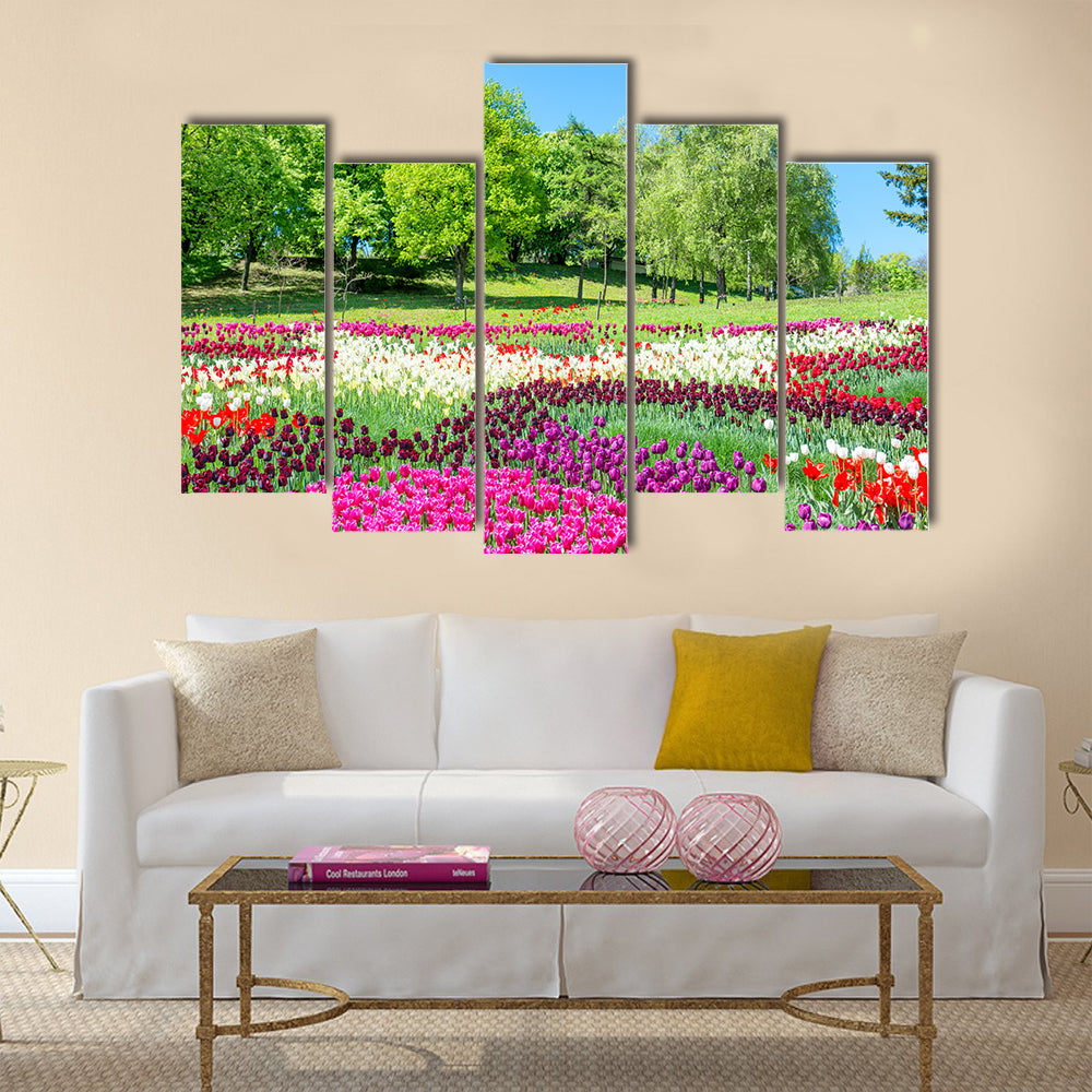 Field of tulips with many colorful flowers in the green park Multi Panel Canvas Wall Art