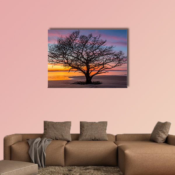 Live Oak Tree silhouetted on a barrier island beach at sunset wall art