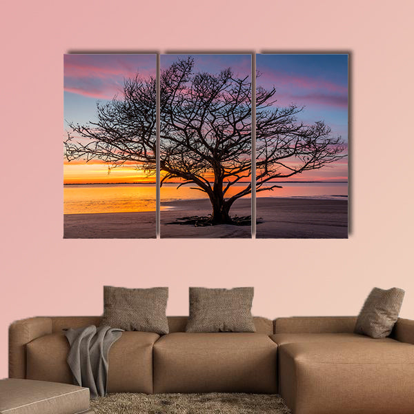 Live Oak Tree silhouetted on a barrier island beach at sunset wall art