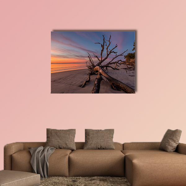 Fallen tree trunk on a beach at dawn, Jekyll Island, wall art