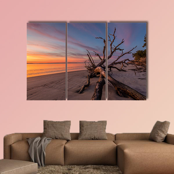 Fallen tree trunk on a beach at dawn, Jekyll Island, wall art