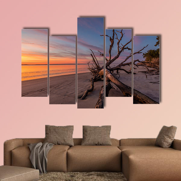 Fallen tree trunk on a beach at dawn, Jekyll Island, wall art