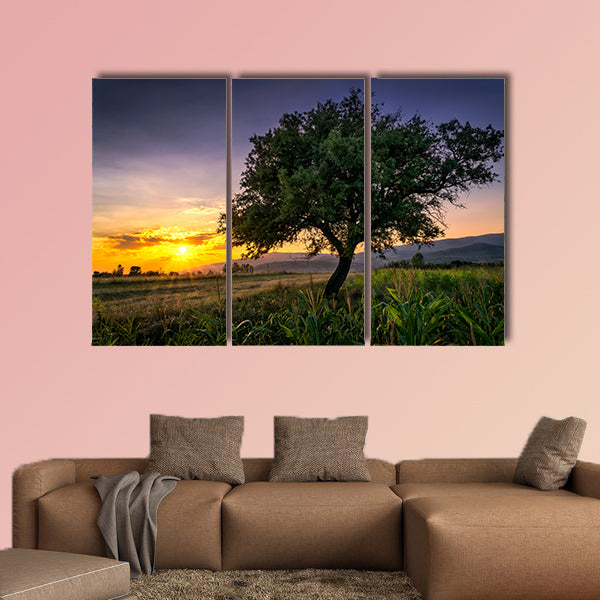 Tree by a corn field at sunset Multi panel canvas wall art