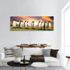 King Penguins in Falkland Islands Canvas Wall Art