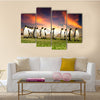 King Penguins in the Falkland Islands multi Panel Canvas wall Art