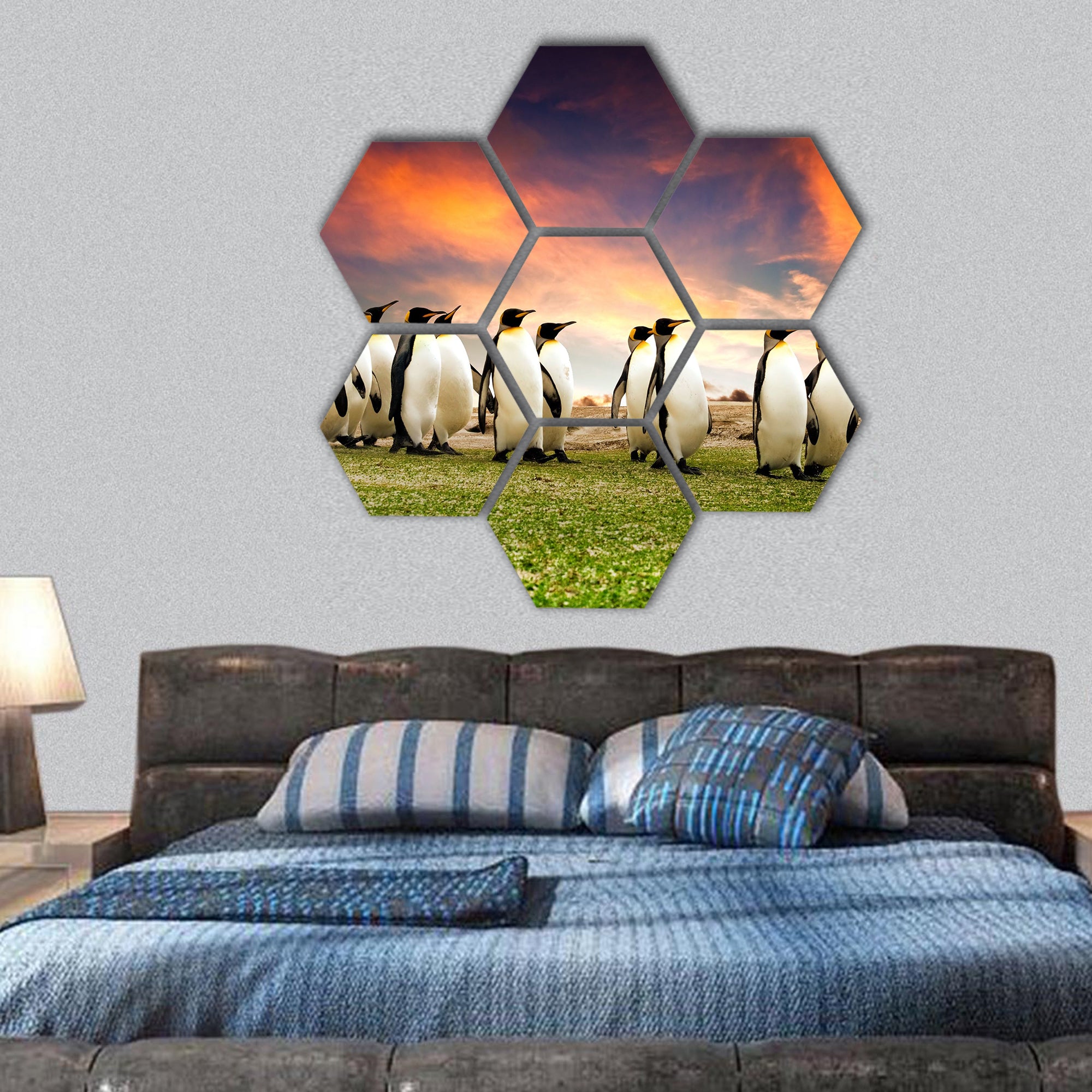 King Penguins in the Falkland Islands hexagonal canvas wall art