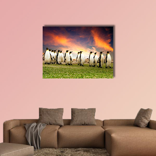 King Penguins in the Falkland Islands multi panel canvas wall art