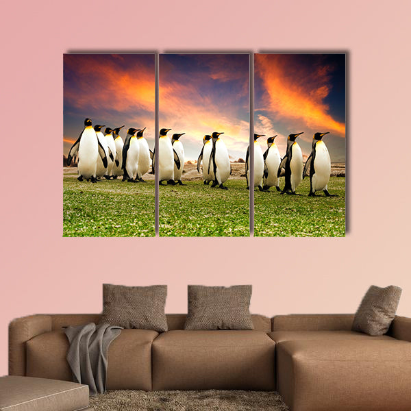 King Penguins in the Falkland Islands multi panel canvas wall art