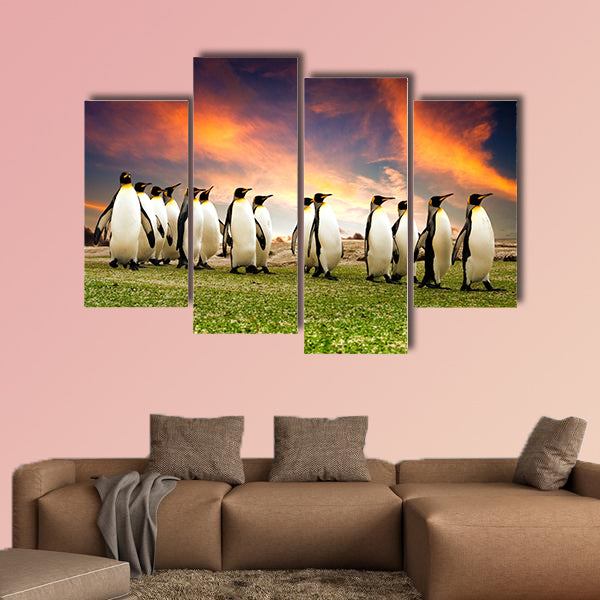 King Penguins in the Falkland Islands multi panel canvas wall art