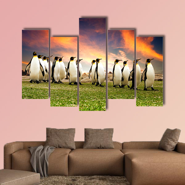 King Penguins in the Falkland Islands multi panel canvas wall art