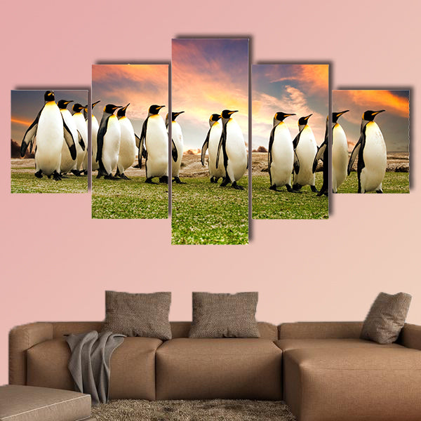 King Penguins in the Falkland Islands multi panel canvas wall art