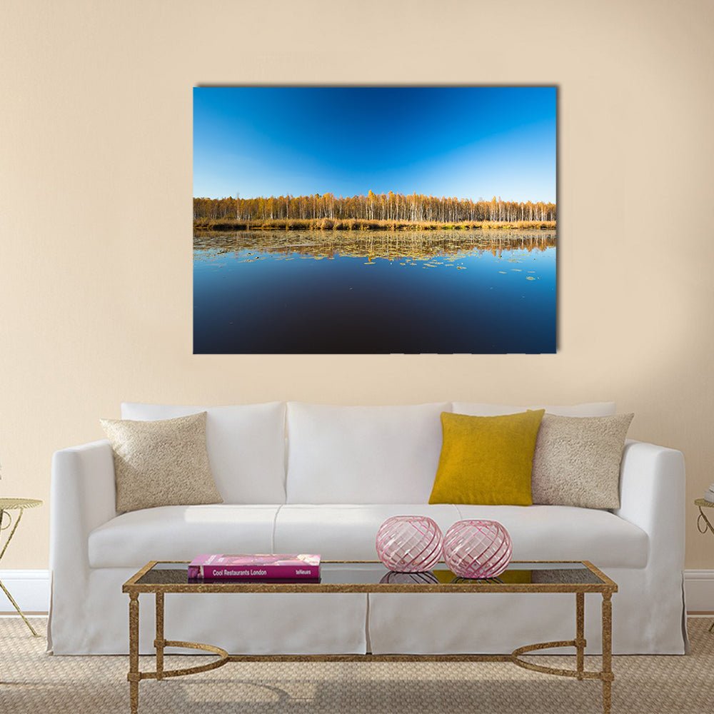 Birch forest and lake Multi panel canvas wall art