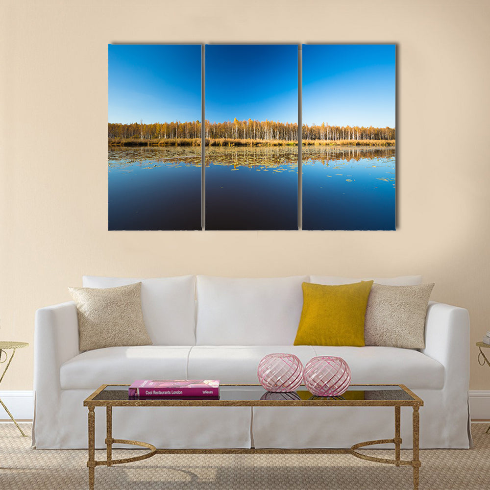 Birch forest and lake Multi panel canvas wall art