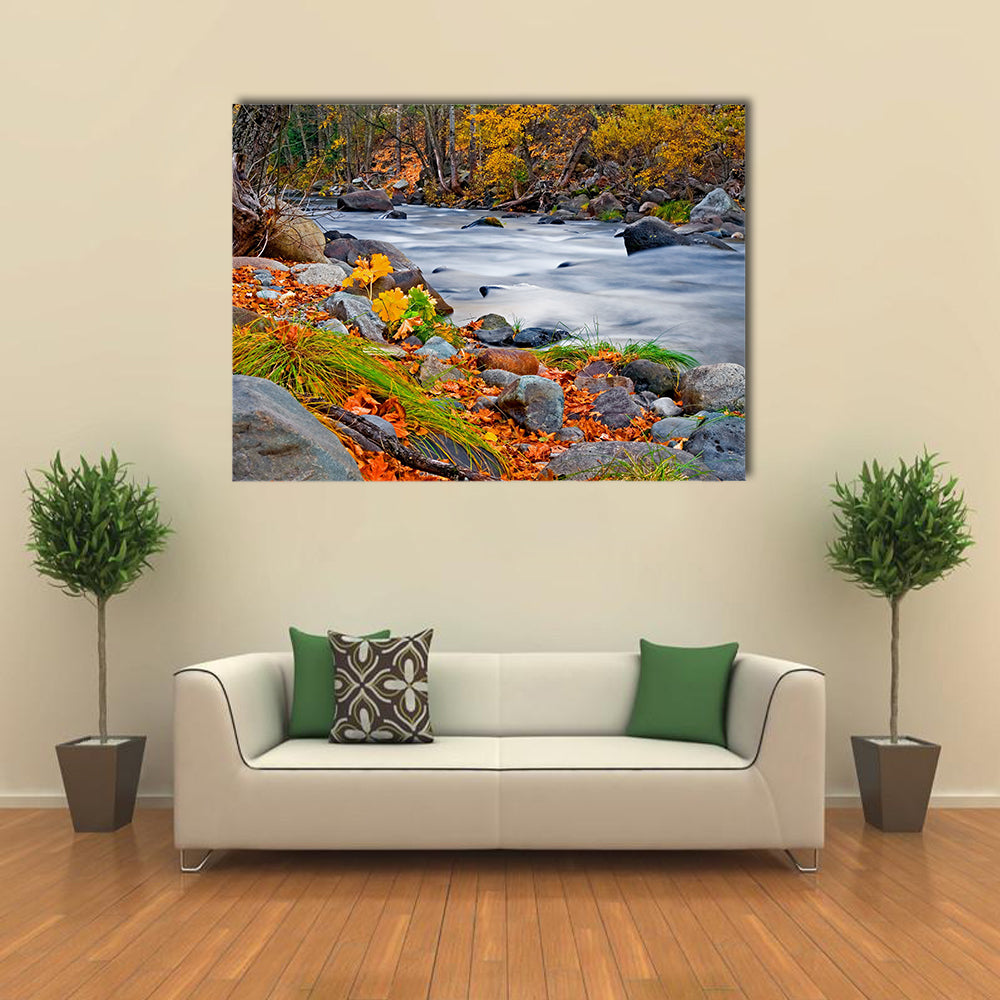 Creek in the forest in Autumn multi panel canvas wall art