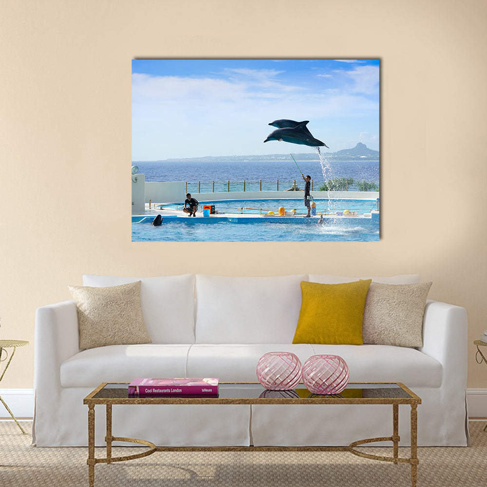 Okinawa, Japan - October 22, 2016: Dolphin Show at Okinawa ocean expo park multi panel canvas wall art
